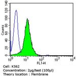 CD1a Antibody in Flow Cytometry (Flow)