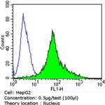 Ku70/Ku80 Antibody in Flow Cytometry (Flow)