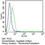 NGFR Antibody in Flow Cytometry (Flow)