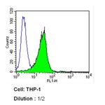 CD8 alpha Antibody in Flow Cytometry (Flow)