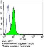 CD155 Antibody in Flow Cytometry (Flow)