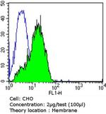 P-Glycoprotein Antibody in Flow Cytometry (Flow)