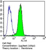 P-Glycoprotein Antibody in Flow Cytometry (Flow)