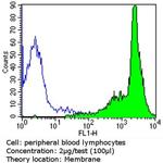 CD44 Antibody in Flow Cytometry (Flow)