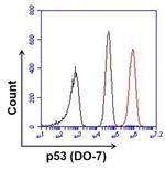 Mouse IgG2b Isotype Control in Flow Cytometry (Flow)