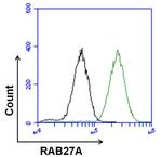 Mouse IgG2b Isotype Control in Flow Cytometry (Flow)