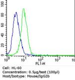 Mouse IgG2b Isotype Control in Flow Cytometry (Flow)