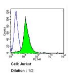 CD8 Antibody in Flow Cytometry (Flow)