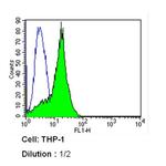 CD8 Antibody in Flow Cytometry (Flow)