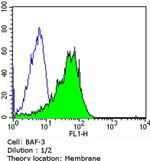 CD79a Antibody in Flow Cytometry (Flow)