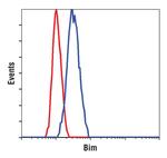 Bim Antibody in Flow Cytometry (Flow)