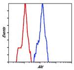 AKT Pan Antibody in Flow Cytometry (Flow)