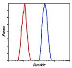 Survivin Antibody in Flow Cytometry (Flow)