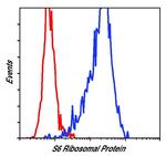 S6 Antibody in Flow Cytometry (Flow)