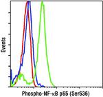 Phospho-NFkB p65 (Ser536) Antibody in Flow Cytometry (Flow)