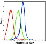 Phospho-p38 MAPK (Thr180, Tyr182) Antibody in Flow Cytometry (Flow)