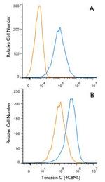 Tenascin C Antibody in Flow Cytometry (Flow)