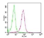 RANK Antibody in Flow Cytometry (Flow)