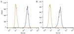 DNMT3A Antibody in Flow Cytometry (Flow)