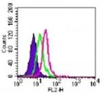 TLR6 Antibody in Flow Cytometry (Flow)