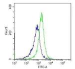 TLR4 Antibody in Flow Cytometry (Flow)