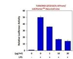 TLR4 Antibody in Neutralization (Neu)