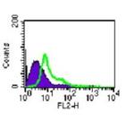 TLR4 Antibody in Flow Cytometry (Flow)