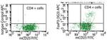 FOXP3 Antibody in Flow Cytometry (Flow)