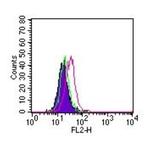 ROR gamma Antibody in Flow Cytometry (Flow)