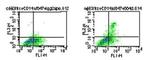 TLR5 Antibody in Flow Cytometry (Flow)