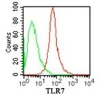 TLR7 Antibody in Flow Cytometry (Flow)