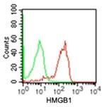 HMGB1 Antibody in Flow Cytometry (Flow)