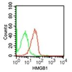 HMGB1 Antibody in Flow Cytometry (Flow)