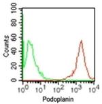 Podoplanin Antibody in Flow Cytometry (Flow)