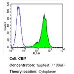 beta Tubulin Loading Control Antibody in Flow Cytometry (Flow)