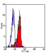 CD64 Antibody in Flow Cytometry (Flow)