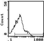 TCR beta Antibody in Flow Cytometry (Flow)