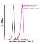 beta-2 Microglobulin Antibody