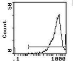 CD90 Antibody in Flow Cytometry (Flow)