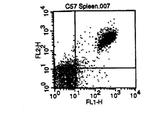 CD19 Antibody in Flow Cytometry (Flow)