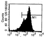 Transferrin Receptor Antibody in Flow Cytometry (Flow)