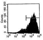 Transferrin Receptor Antibody in Flow Cytometry (Flow)