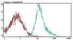 CD81 Antibody in Flow Cytometry (Flow)