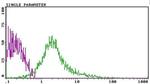 CD81 Antibody in Flow Cytometry (Flow)