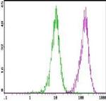 CD16/CD32 Antibody in Flow Cytometry (Flow)