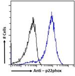 CYBA Antibody in Flow Cytometry (Flow)