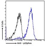 CYBA Antibody in Flow Cytometry (Flow)