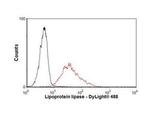 LPL Antibody in Flow Cytometry (Flow)