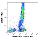 CD43 Antibody in Flow Cytometry (Flow)