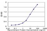 BAF53A Antibody in ELISA (ELISA)